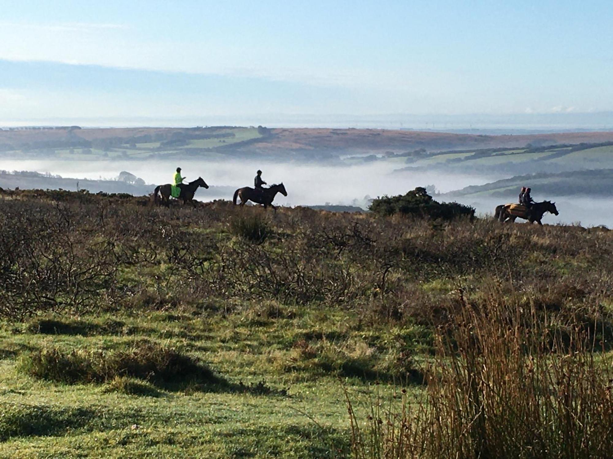 Exmoor Bnb In Withypool On Two Moors Way Extérieur photo