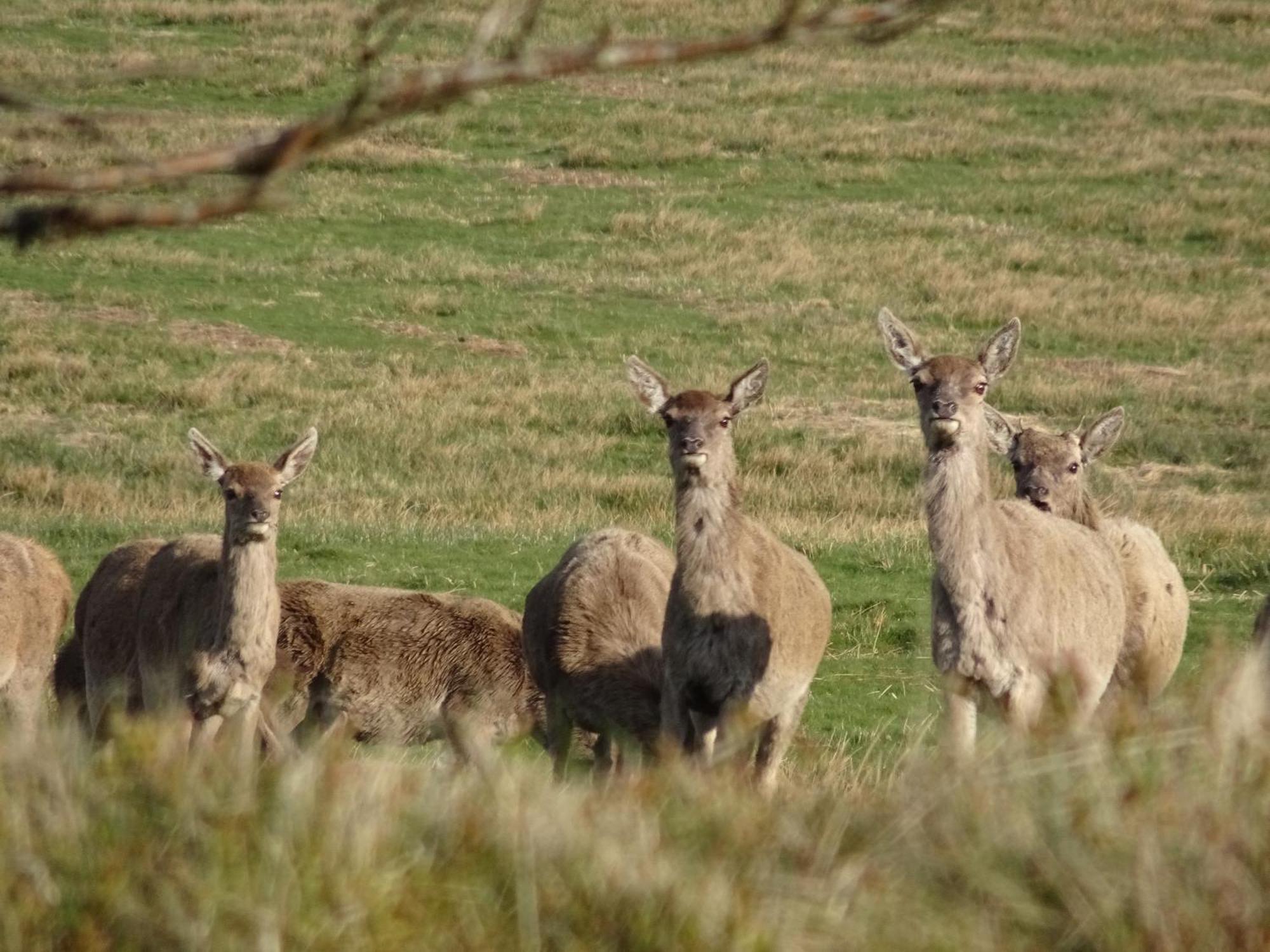Exmoor Bnb In Withypool On Two Moors Way Extérieur photo