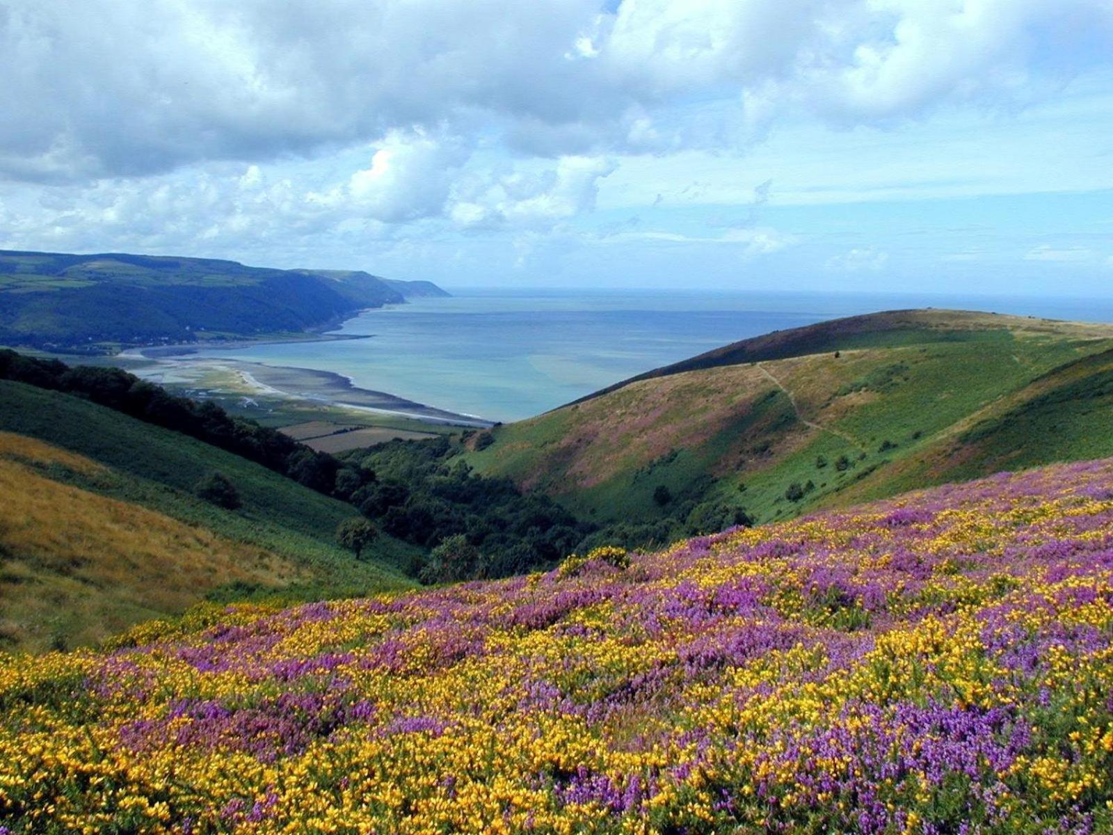 Exmoor Bnb In Withypool On Two Moors Way Extérieur photo