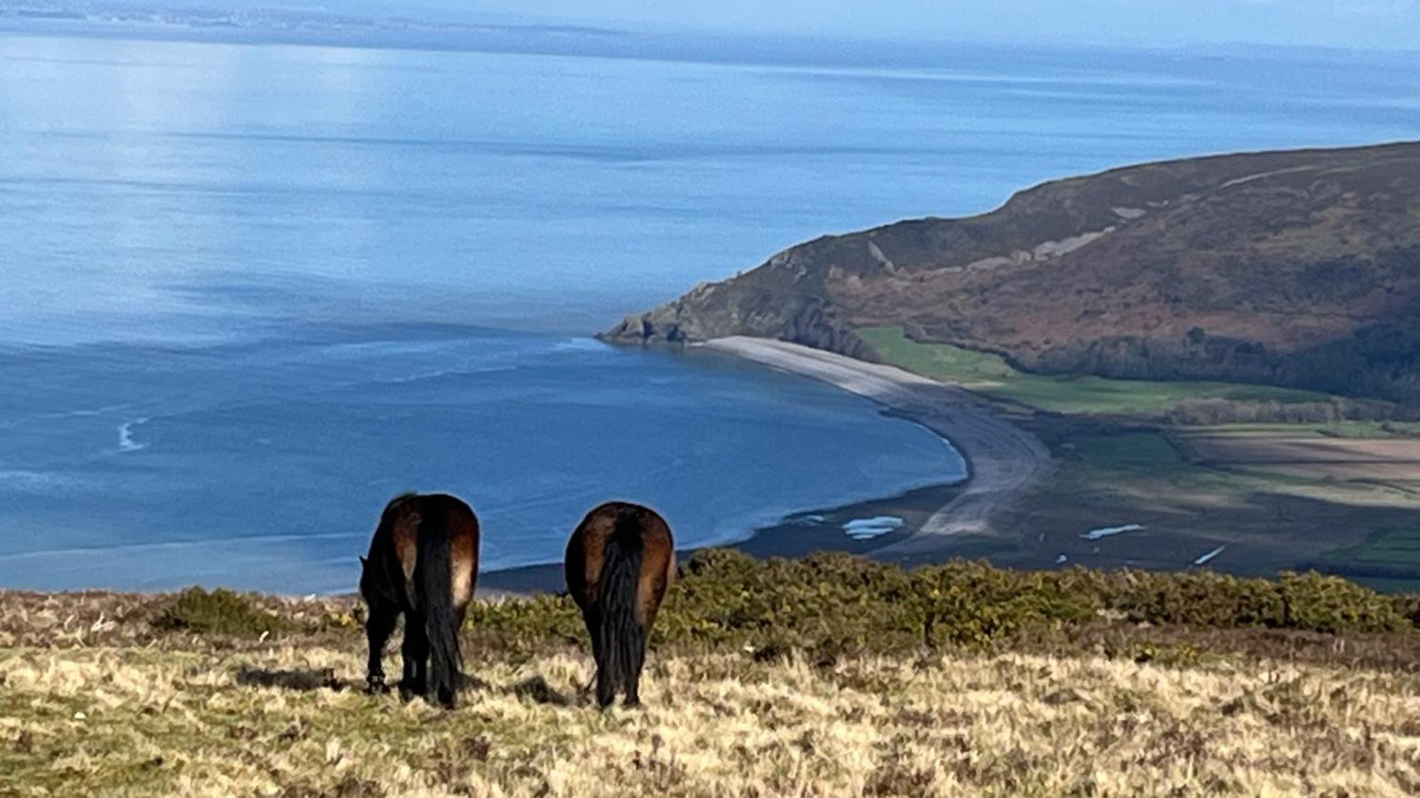 Exmoor Bnb In Withypool On Two Moors Way Extérieur photo