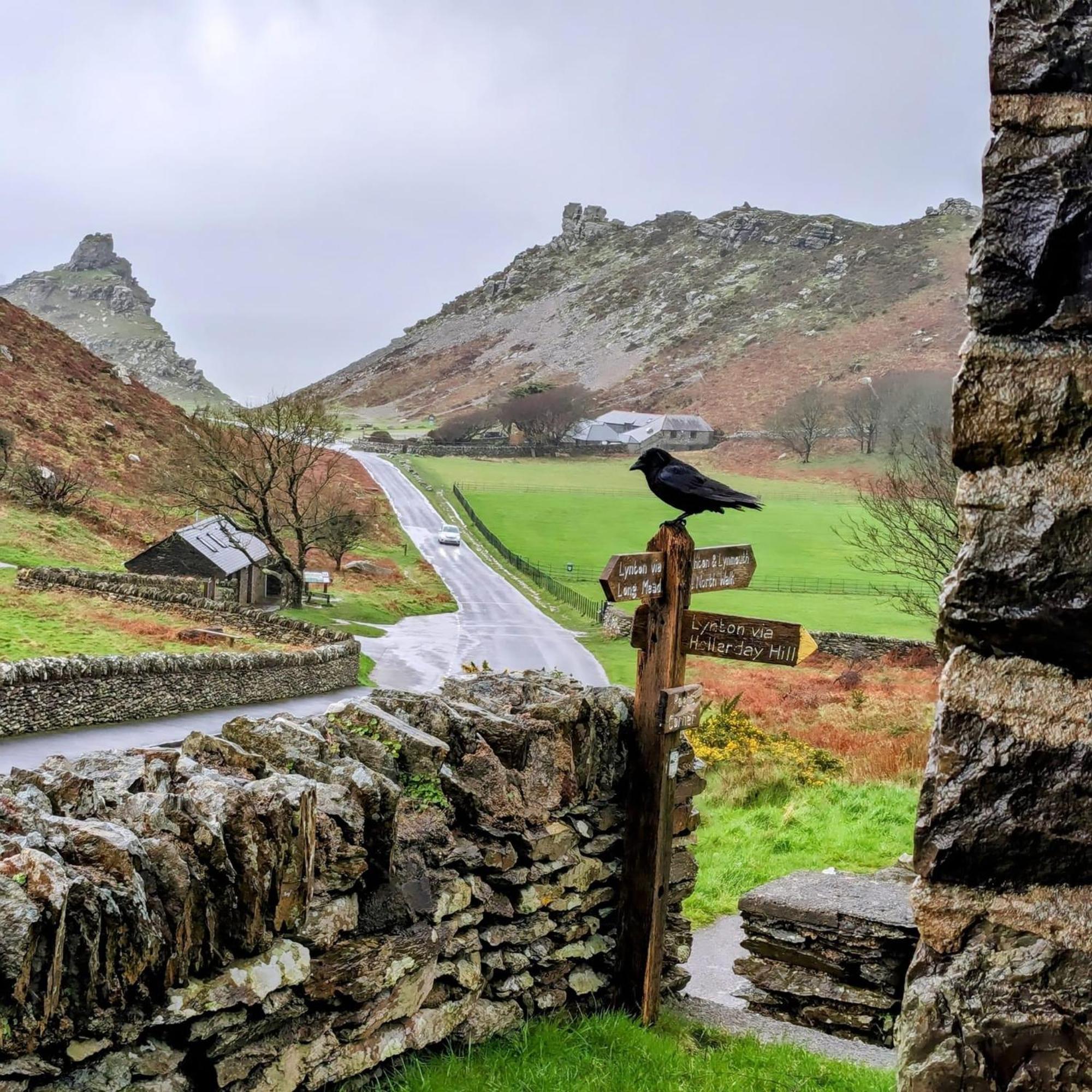 Exmoor Bnb In Withypool On Two Moors Way Extérieur photo