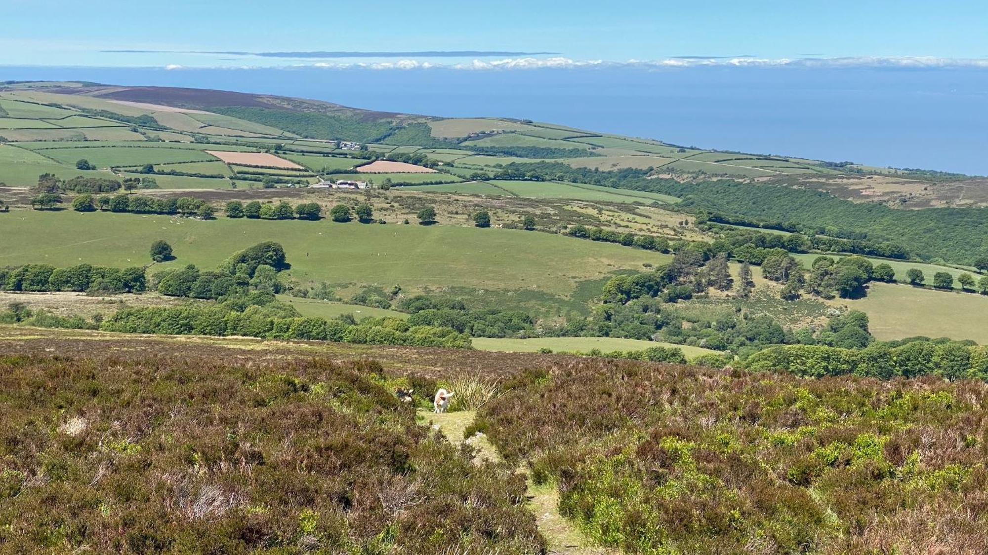 Exmoor Bnb In Withypool On Two Moors Way Extérieur photo